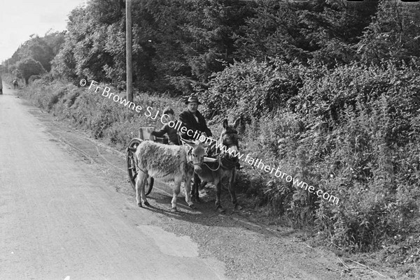 ON THE ROAD NEAR SCARIFF  DONKEY TEAM